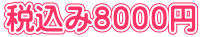 税込み８０００円