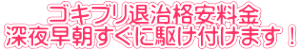 　　ゴキブリ退治格安料金 深夜早朝すぐに駆け付けます！
